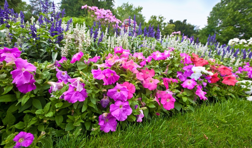 DIY Gardening Ideas Perfect For Your Yard This Summer