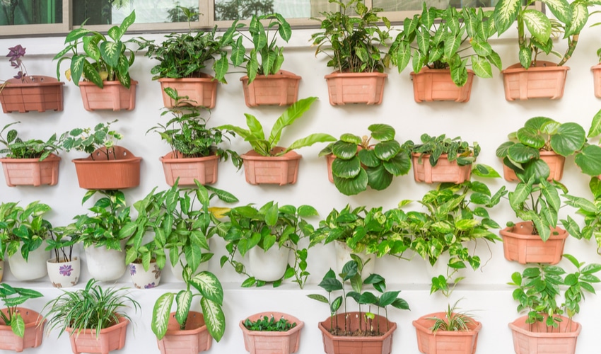 DIY Gardening Ideas Perfect For Your Yard This Summer