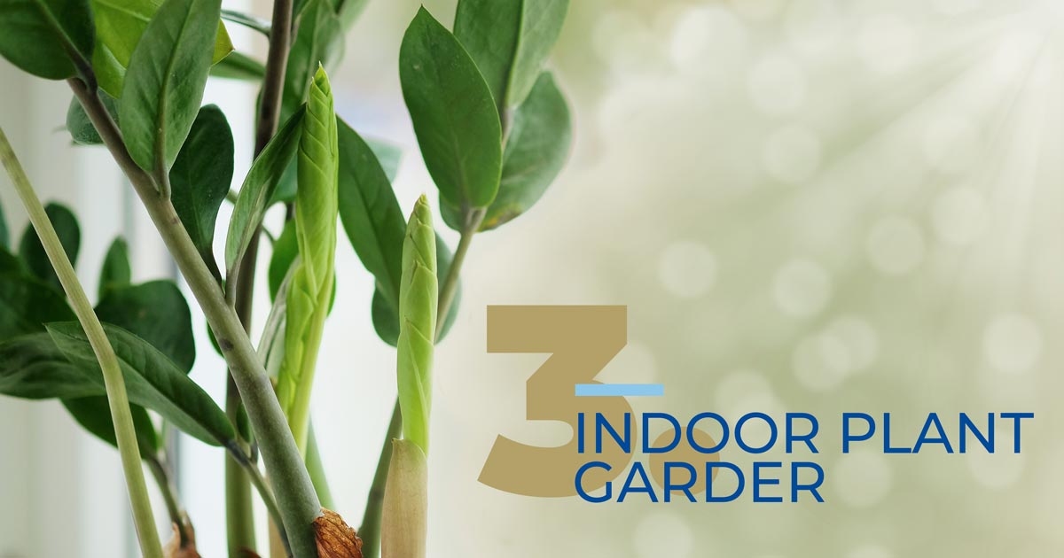 Simple Ways To Make Your Home A Better Place To Live