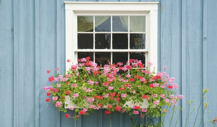DIY Gardening Ideas Perfect For Your Yard This Summer
