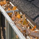 leaves in gutter