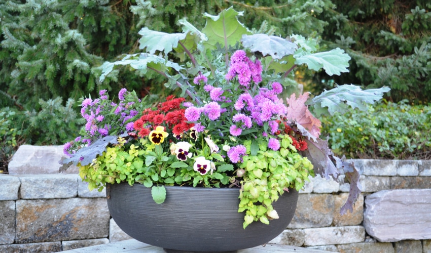 DIY Gardening Ideas Perfect For Your Yard This Summer