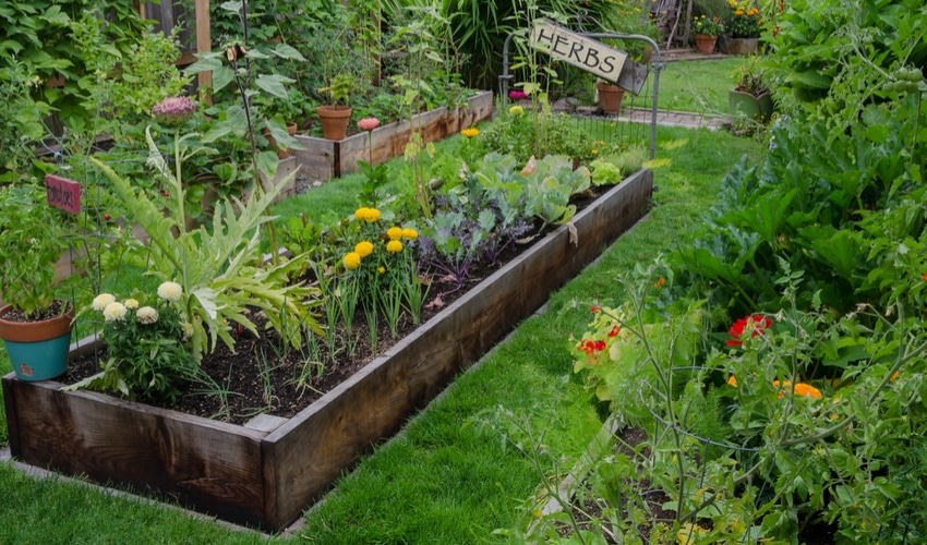 DIY Gardening Ideas Perfect For Your Yard This Summer