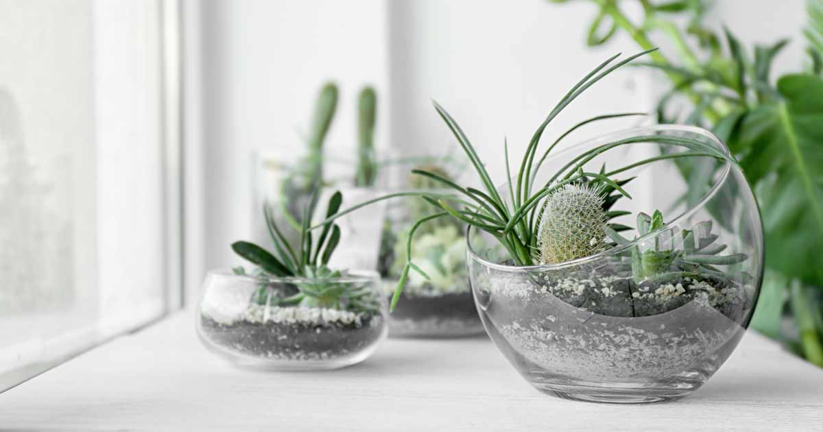 Simple Ways To Make Your Home A Better Place To Live