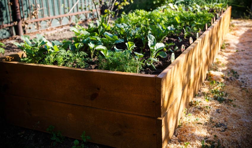 DIY Gardening Ideas Perfect For Your Yard This Summer