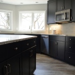 kitchen with black cabinets