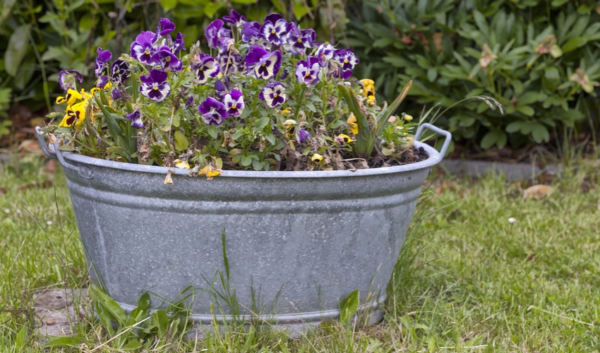 DIY Gardening Ideas Perfect For Your Yard This Summer